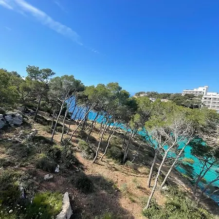 Palmaria Guest house
